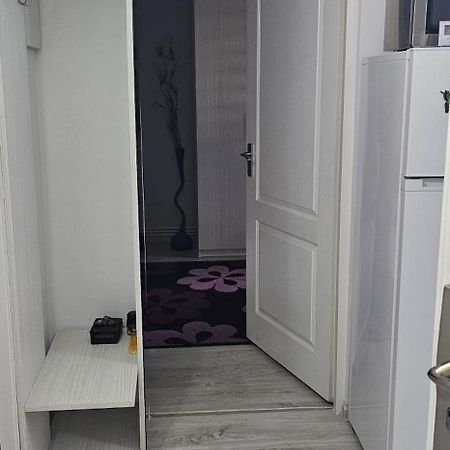 Garsoniera Regim Dni Apartment Petrosani Luaran gambar